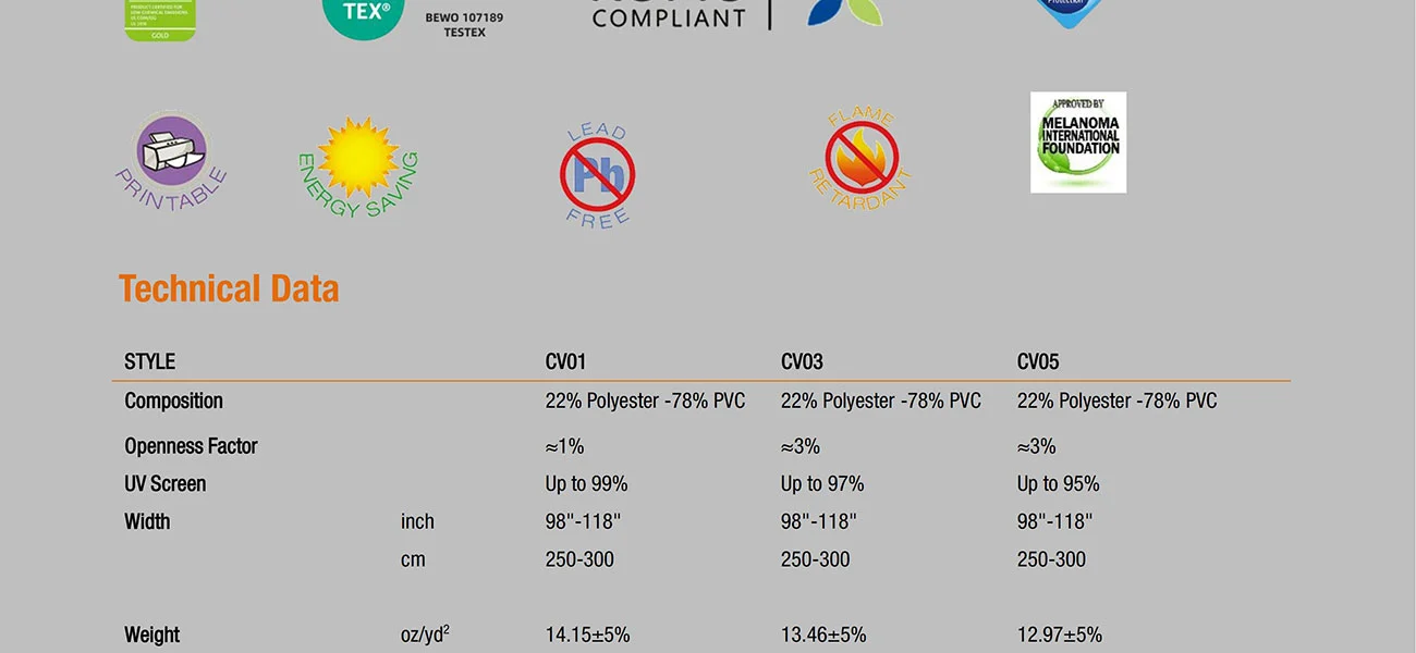 Clear Vision Clear Vision